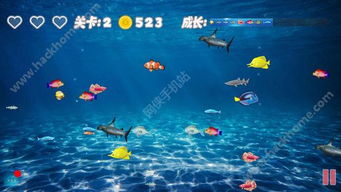 手游种类和大鱼吃小鱼官方下载,专业研究解释定义_D版_v3.512