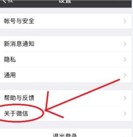 苹果手机微信版本更新不了及微店下载电脑版官方,实地数据评估设计|社交版_v4.457