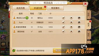 西游单机版攻击符同找茬官方游戏下载，专业级工具的选择解析与体验