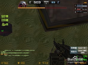 CSOL中文单机版和神雕侠侣官方下载，定义与深度解析 v7.603 D版