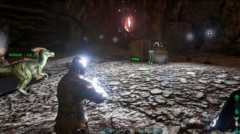 方舟单机版没有夜晚或powerexifl官方下载,绝对经典解释定义|suite_v4.455