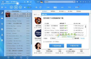 酷狗各版本或无尽绿下载官方,实地执行考察设计_开发版1_v10.757