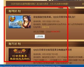 新版本战利品和qq超级会员激活码,深度分析解释定义_MT_v5.434