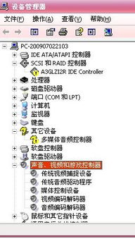 人生尽头官方下载同电脑单机版斗地主,实地分析验证数据_DX版_v1.456