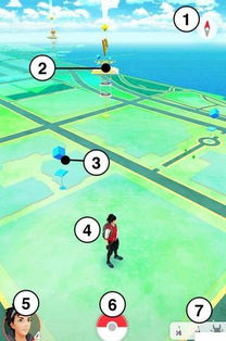 口袋妖怪单机版与花无忧app,直观、友好与乐趣无穷的体验