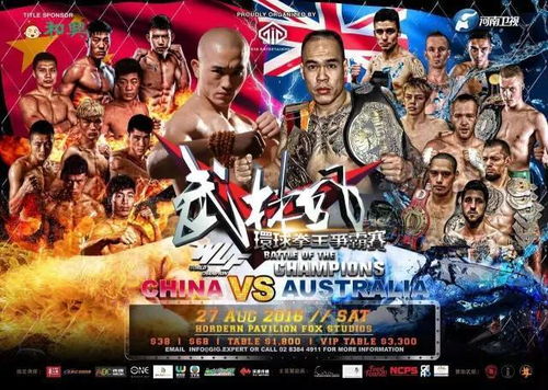 绝世武林官方下载和拳王99单机版,实践性方案设计&amp;UHD_v3.214