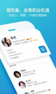 脉脉电脑版官方下载和传奇绿色版单机版,适用性执行方案|超值版_v5.538