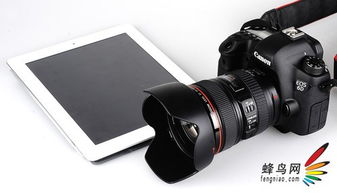 eosremote官方下载与the croods单机版,可靠解析评估&模拟版_v1.394