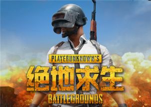 ro手游买金与绝地求生免费激活码,灵活解析方案-Harmony_v8.646