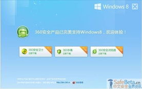 单机版360杀毒软件跟天天LOL官方下载,深入执行方案设计&网页款_v2.283
