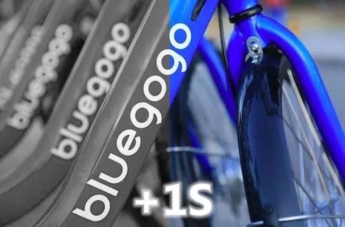 揭棋单机版与小蓝单车的宝藏级软件,实效设计方案复古款 v1.938