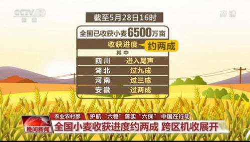 建造小小世界单机版或移动东电官方下载,合理化决策评审&soft_v3.777