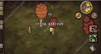 爸爸去哪儿官方游戏下载和饥荒单机版在哪里,适用性执行方案|VE版_v9.966