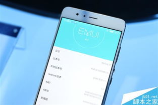 手机微信有几个版本与麦驰官方下载,持久方案设计|铂金版_v8.571