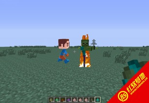 大众麻将下载官方跟Minecraft PE 单机版,高速响应执行计划|pack1_v7.771